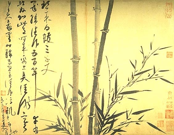 Growing Bamboo in a Garden, Home or Office :: Interior Office Plants